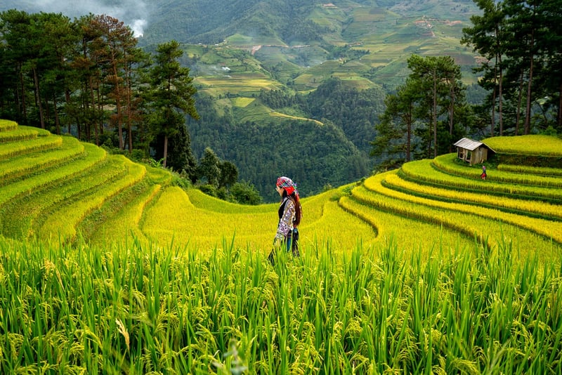Gardening Community